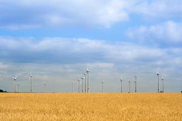 In the foreground a field of golden wheat and in the background are full of turbine windmills. Beautiful landscape in Germany and the production of electricity.