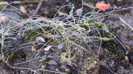 Plastic pollution on the Cornish coast