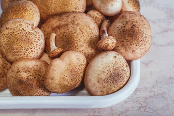 mushrooms agaric  on a wooden Desk as food background