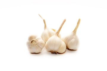 Garlic isolated in white background.