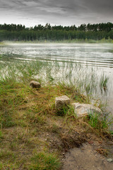 Beautiful wild lake on a cloudy  day 