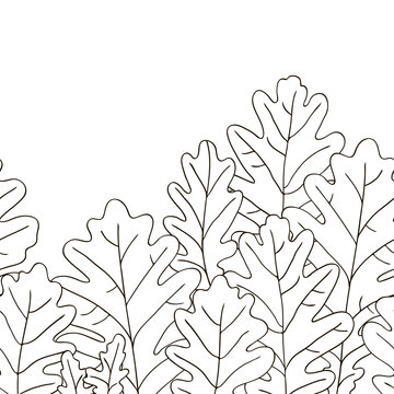 vector contour trees oak leaf botanical hand drawn sketch coloring book seamless repeating border pattern