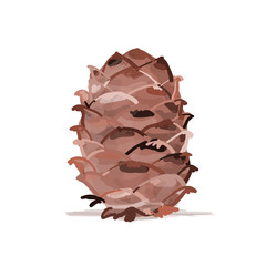 Cedar cone, sketch for your design