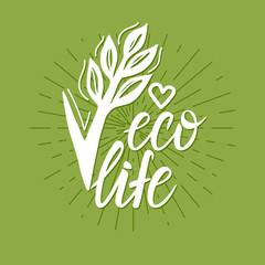 Vector Eco life inscription lettering on a green background with rays
