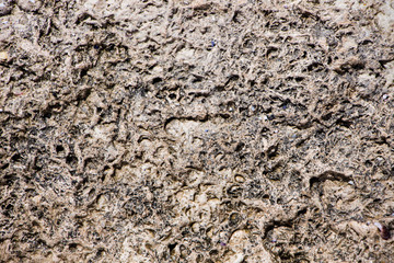 The surface of an old rock with cracks. Old rock texture (wild background)