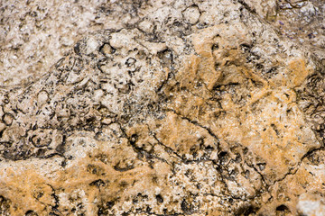 The surface of an old rock with cracks. Old rock texture (wild background)