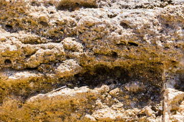 The surface of an old rock with cracks. Old rock texture (wild background)