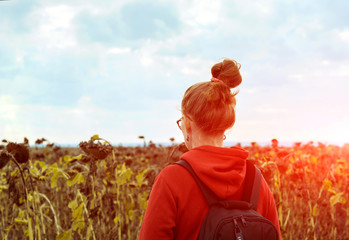 Girl adventurer in glasses and red hoodie, moves through the dry sunflower field, with a black...