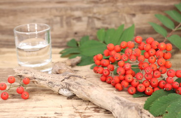 reife Früchte der Naturheilpflanze Eberesche mit dem aus ihnen gewonnenen Vogelbeerschnaps