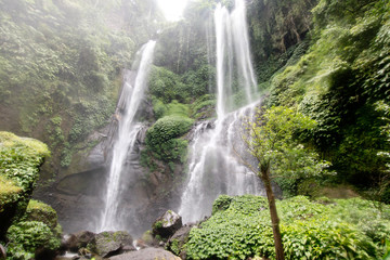 Fototapeta na wymiar Waterfall in green rainforest. Triple waterfall Sekumpul in the mountain jungle. Bali,Indonesia. Travel concept.