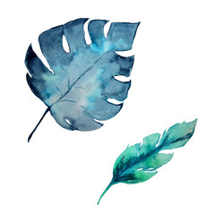 Watercolor monstera isolated on a white background. Hand drawn illustration. © Maisterix