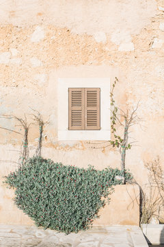 Fen&ecirc;tre sur cour