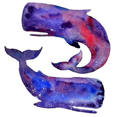 Watercolor whales isolated on a white background. Sky and stars texture. Hand drawn illlustration.