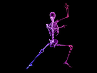 X RAY SKELETON 3D RENDER