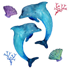 Watercolor dolphins and sea inhabitants,  isolated on a white background. Hand drawn illustration.