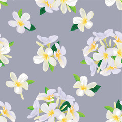 Seamless pattern with tropical plumeria flowers and leaves on grey background. Vector set of exotic tropical floral for wedding invitations and greeting card design.