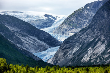 Nigardsbreen