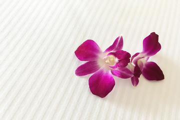 Two Purple red orchids on hotel bed are meaning of  welcome and love for honeymoon lover.