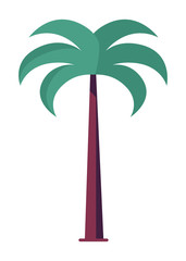 Palm Tree Massive Trunk and Green Leaves Vector