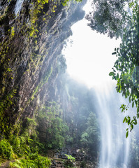Twin Falls in the Springbrook National Park, Queensland, Australia