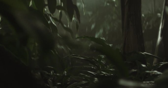 Shot on Red 6k 85fps