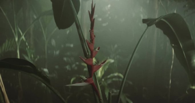 Shot on Red 6k 85fps