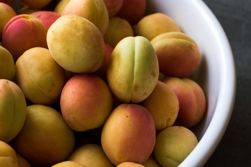 Raw Ripe Organic Orange Pile of Apricots in Big Bowl.