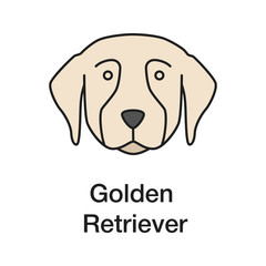 Golden Retriever color icon