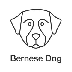 Bernese Mountain dog linear icon