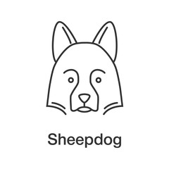 Shetland Sheepdog linear icon