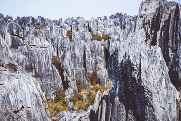 Fototapeta na wymiar Stone forest, rock formations in Yunnan, China