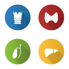 Internal organs flat design long shadow glyph icons set