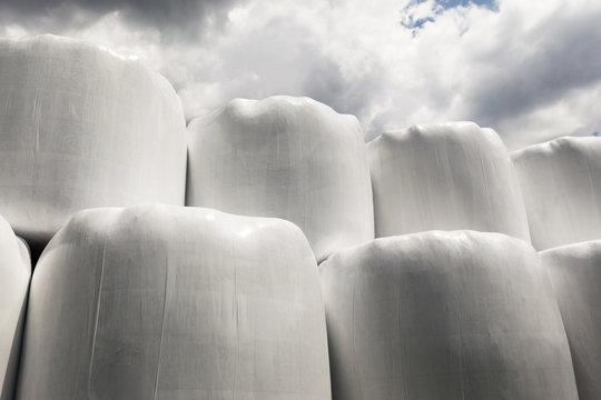 Wrapped Hay Bales