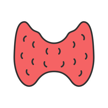 Thyroid Gland Color Icon