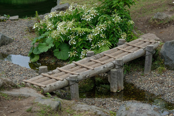 Bamboo bridge