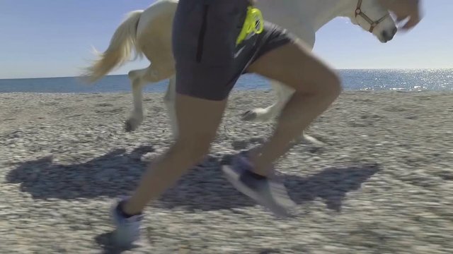 ragazzo si sta allenando con la corsa sulla spiaggia in riva al mare insieme al suo cavallo bianco di fianco al galoppo. Gara tra uomo e animale.