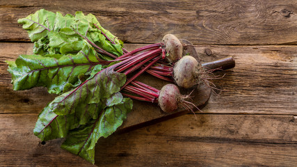 betteraves rouges du jardin 3