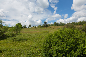 Fototapeta premium Flowering grassy meadow under blue cloudy sky