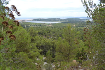 Mediterranean