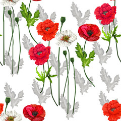 Poppy flowers  seamless on leaf's silhouette and white background,vector illustration