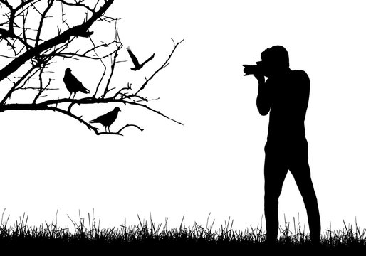 A young man in nature photographing birds sitting on tree branch