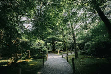 Japanese garden walkway with tree leaves film vintage style