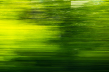 Nature in motion from the train window