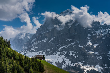 Switzerland, view from First to Wetterhorn