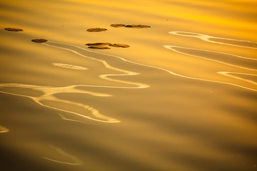 Sunset with reflection in lake water as background