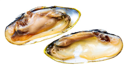 Mussel shell isolated on white background © schankz