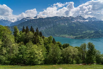 Switzerland, Thunersee and Niesen panorama view