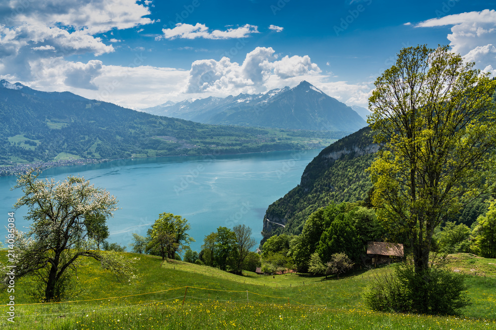 Wall mural Switzerland, Thunersee and Niesen panorama view