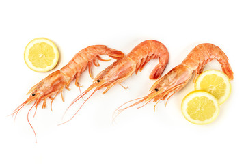 Overhead photo of raw shrimps on white, with lemon slices and place for text