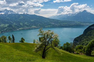 Naklejka premium Switzerland, Thunersee and Niesen panorama view